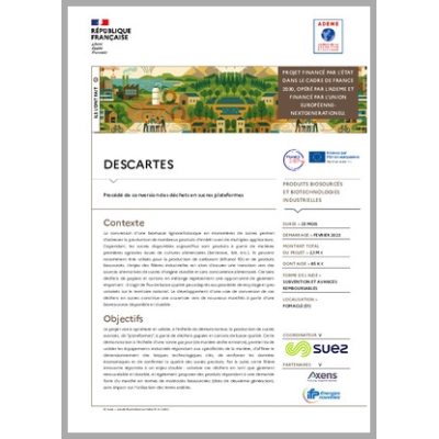DESCARTES - Procédé de conversion des déchets en sucres plateformes.