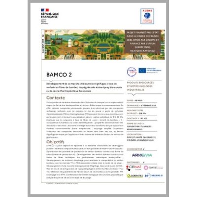 BAMCO 2 - Développement de composites biosourcés à base de renforts en fibres de bambou