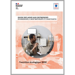 Guide 2026 des aides aux entreprises pour la transition écologique en Guadeloupe, à Saint-Barthélemy et à Saint-Martin.