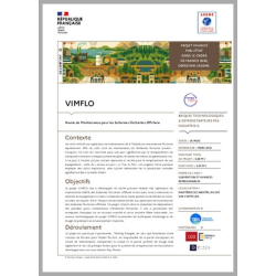 VIMFLO - Navire de Maintenance pour les Eoliennes Flottantes Offshore
