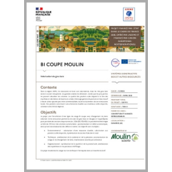 BI COUPE MOULIN - Valorisation de gros bois