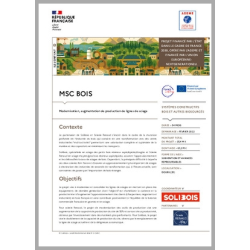 MSC BOIS - Modernisation, augmentation de production de lignes de sciage