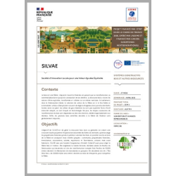 SILVAE - Société d'Innovation Locale pour une Valeur Ajoutée Équitable