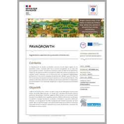 PAVAGROWTH - Augmentation capacitaire de la production d'isolants bois