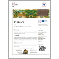 SPMBPC LPR - Scierie petits et moyens bois 4.0 à LA PETITE RAON