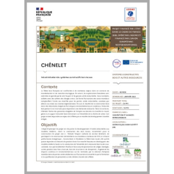 CHÊNELET