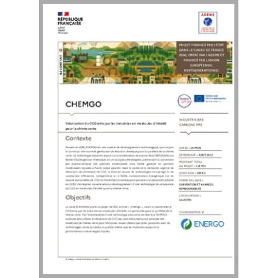 CHEMGO - Valorisation du CO2 émis par les industries en molécules d'intérêt pour la chimie verte