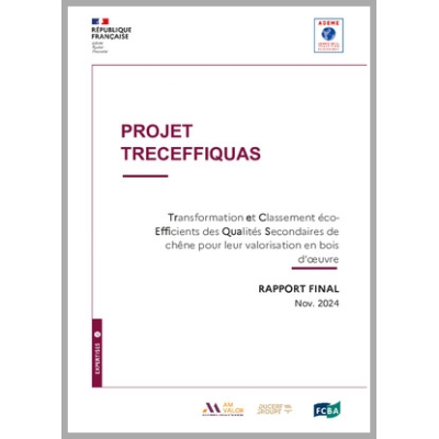 GRAINE 2019 - TreCEffiQuaS