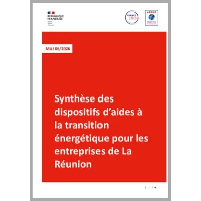 Synthèse des dispositifs d'aides à la transition énergétique des entreprises privées de la Réunion