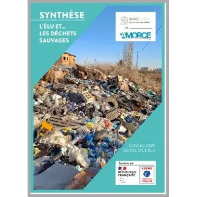 L'Elu et ... les déchets sauvages