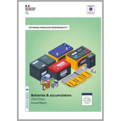 Batteries and accumulators: data 2024