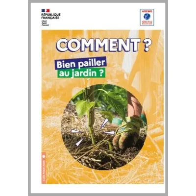 Comment bien pailler au jardin ?