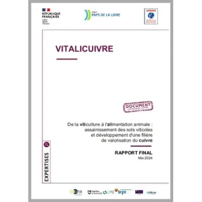 VITALICUIVRE