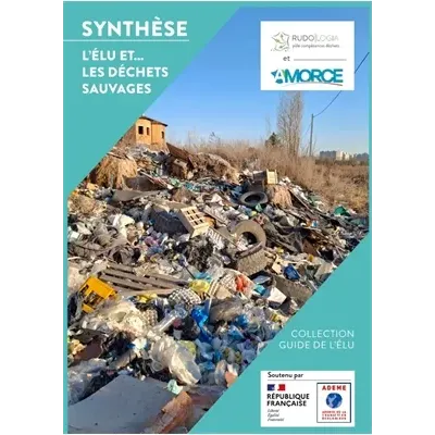 L'Elu et ... les déchets sauvages