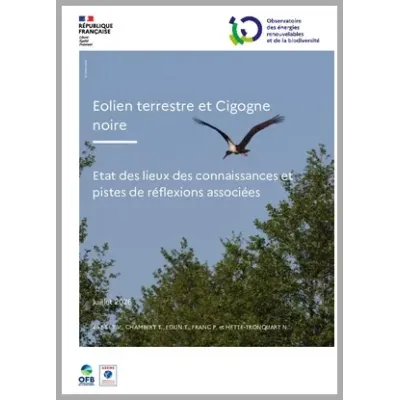 Eolien terrestre et Cigogne noire