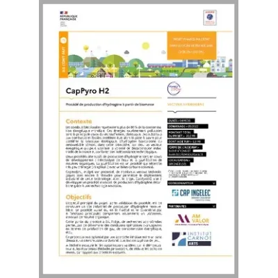 CapPyro H2 - Procédé de production d hydrogène à partir de biomasse