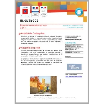 BLOCKIWOOD