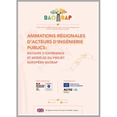 Animations régionales d'acteurs d'ingénierie publics : retours d'expérience et modèles du projet européen BAOBAP