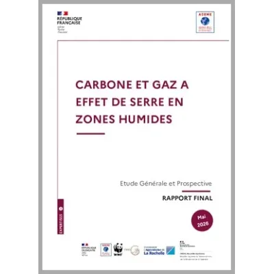 Carbone et gaz à effet de serre en zones humides