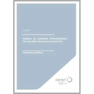 Analyse du potentiel d'électrification des procédés thermiques industriels