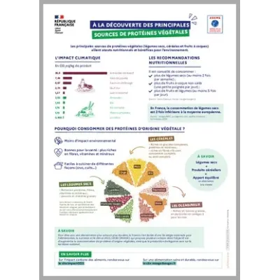A la découverte des principales sources de protéines végétales