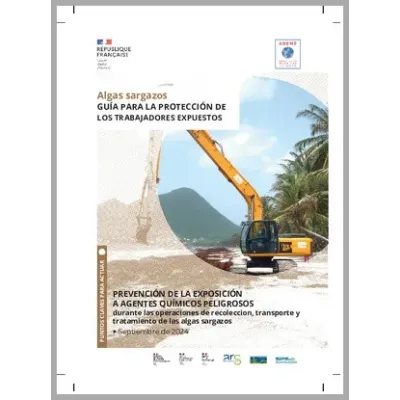 Guide pour la protection des travailleurs exposés durant la collecte des sargasses