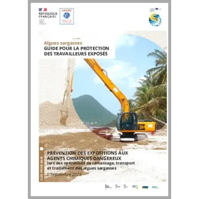 Guide pour la protection des travailleurs exposés lors des opérations de ramassage, transport et traitement des algues sargasses