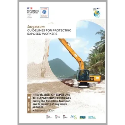 Guidelines for protecting exposed workers to exposure to hazardous chemicals during the processing of sargassum