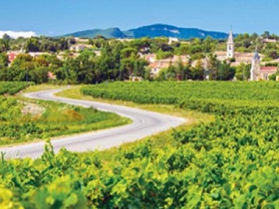 Territoires ruraux et périurbains : Des clés pour réussir son projet de mobilité